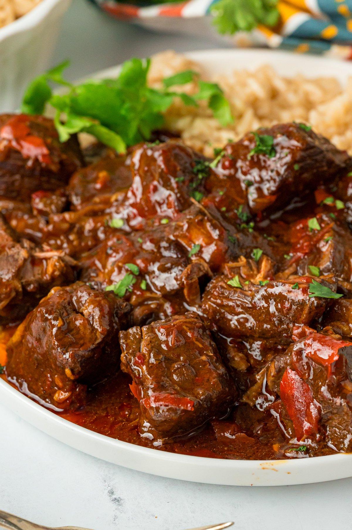 Close-up di Chile Colorado al slow cooker in un piatto con riso.