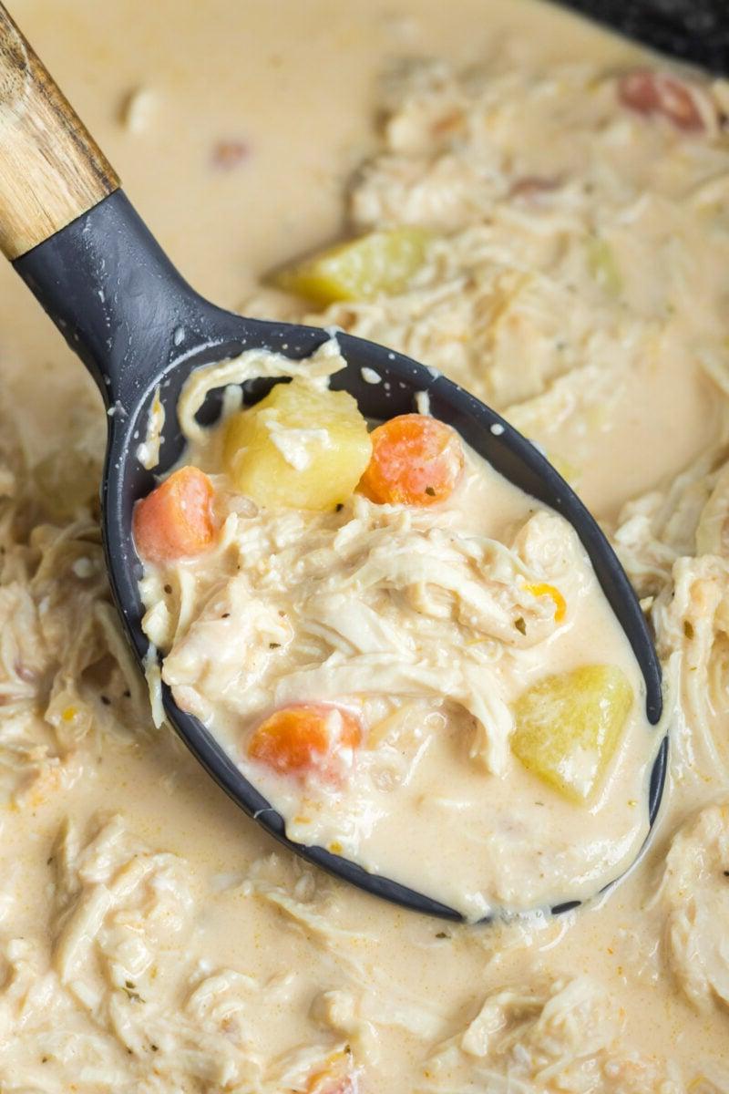 Zuppa di Pollo alla Buffalo a Cottura Lenta 2 zuppa di pollo buffalo sul cucchiaio