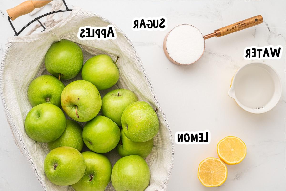 Salsa di mele a cottura lenta 3 Ingredienti per la salsa di mele su un tavolo.