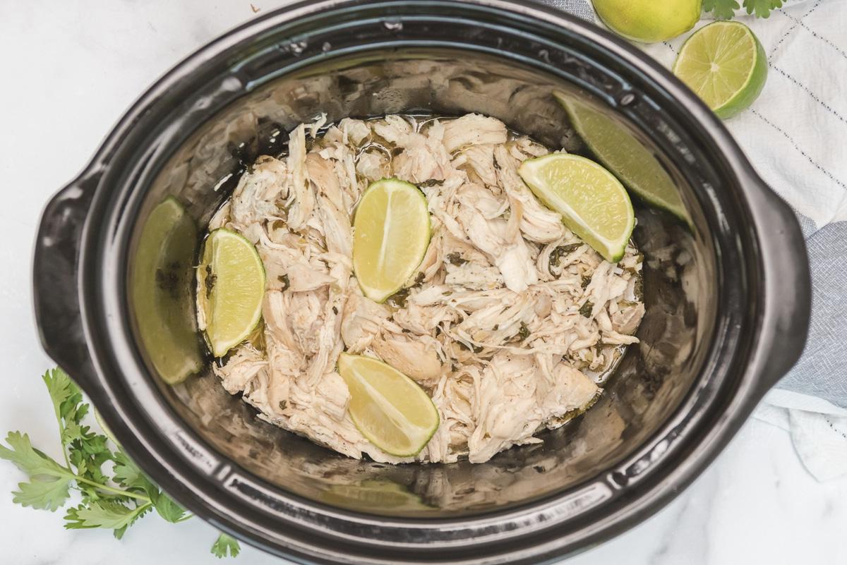 **Pollo al Coriandolo e Lime a Cottura Lenta** 6 pollo al coriandolo e lime sfilacciato nella crockpot