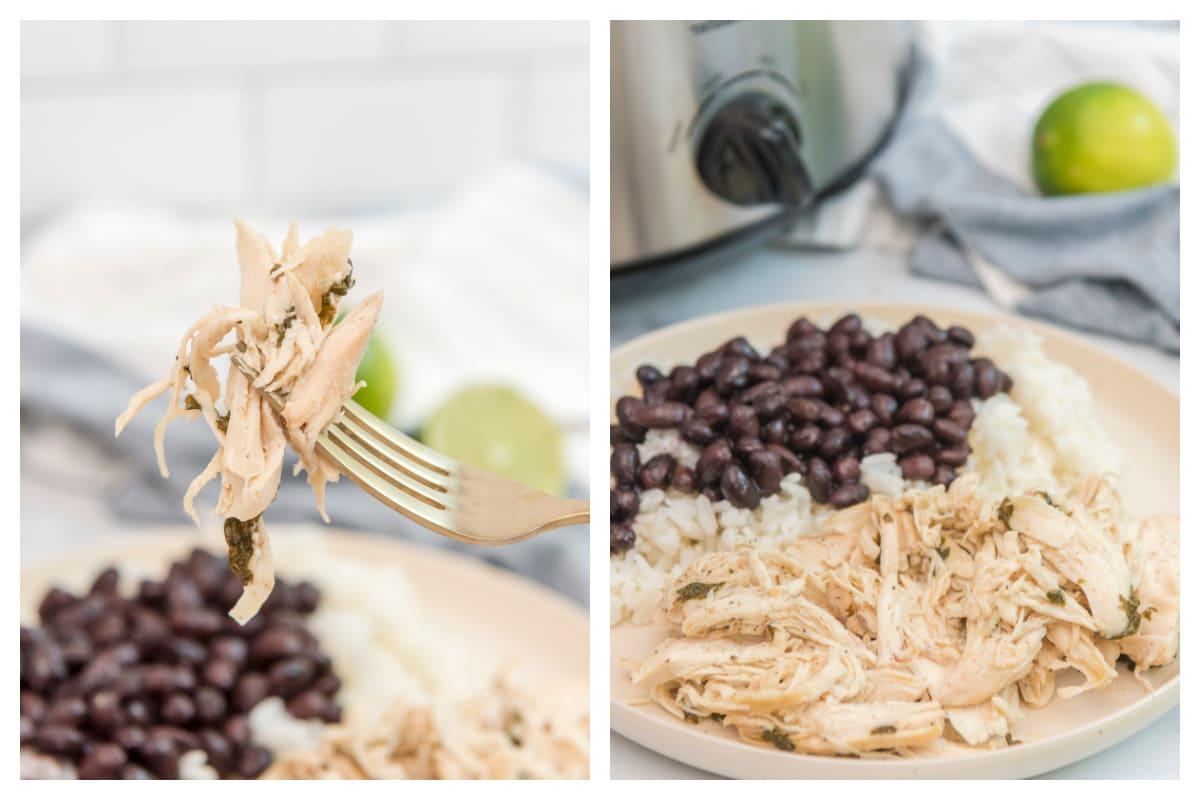 **Pollo al Coriandolo e Lime a Cottura Lenta** 7 pollo al coriandolo e lime su piatto e su forchetta