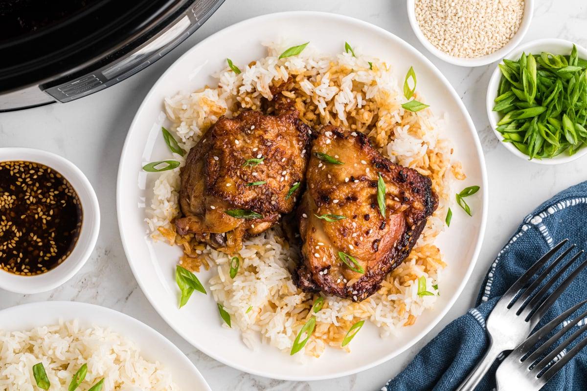 **Cosce di Pollo Teriyaki a Cottura Lenta** 10 Due cosce di pollo teriyaki in slow cooker su un piatto bianco sopra il riso.