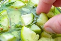 Instant Pot Fast Pickles