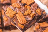 Biscoff Brownies
