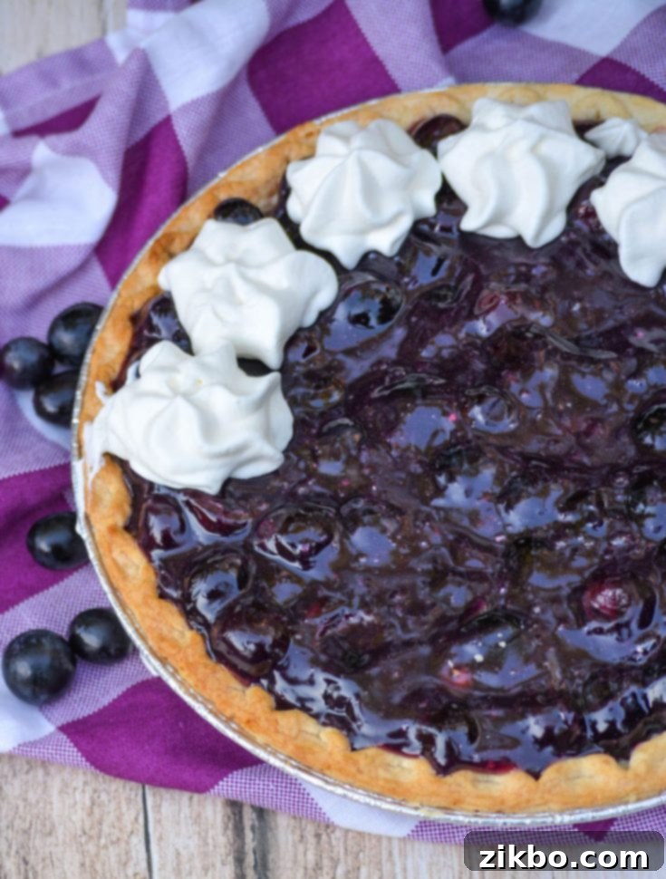 Pretty purple no-bake grape Jello pie with fresh grapes, easy to make