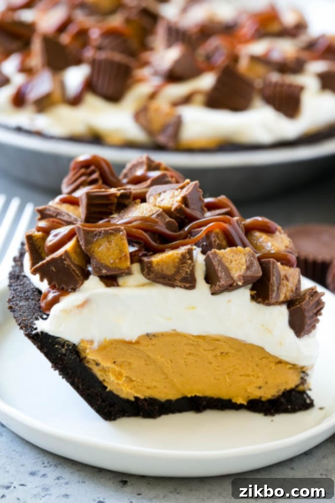 Addictive no-bake chocolate peanut butter pie with an Oreo crust and peanut butter cup topping