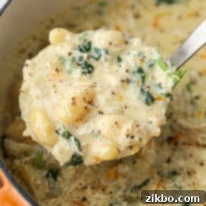 Comforting Creamy Chicken Gnocchi Soup 9 A soup ladle filled with a creamy chicken gnocchi soup, highlighting its rich texture and delicious ingredients.