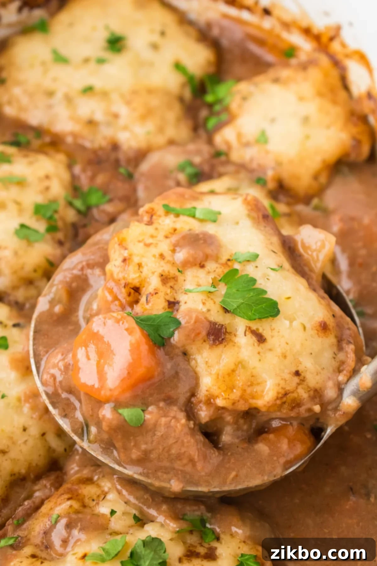 Hearty Slow Cooker Beef Stew with Tender Dumplings 16 A ladle full of beef stew topped with a homemade dumpling.