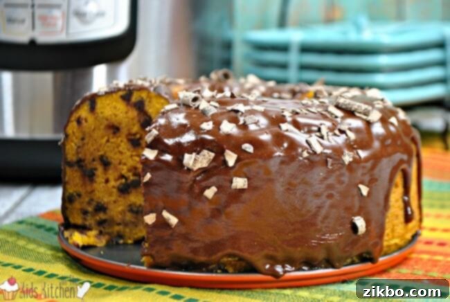 Moist Instant Pot Pumpkin Chocolate Chip Cake, a delightful fall treat.