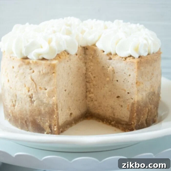 Unique and creamy Instant Pot Sweet Potato Cheesecake.