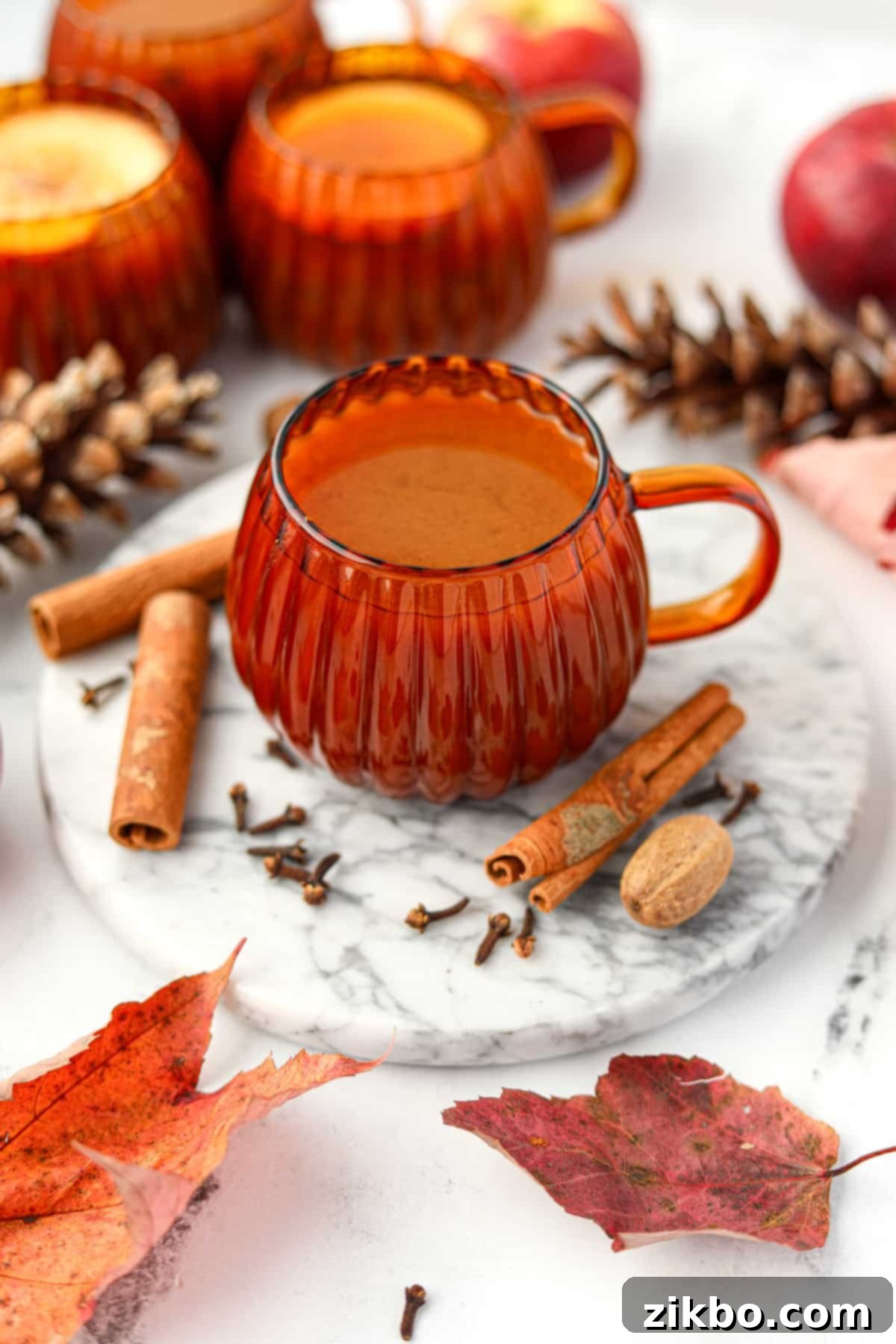 Golden Pumpkin Brew 2 A pumpkin shaped mug filled with homemade cider, garnished with spices and dried orange slices.