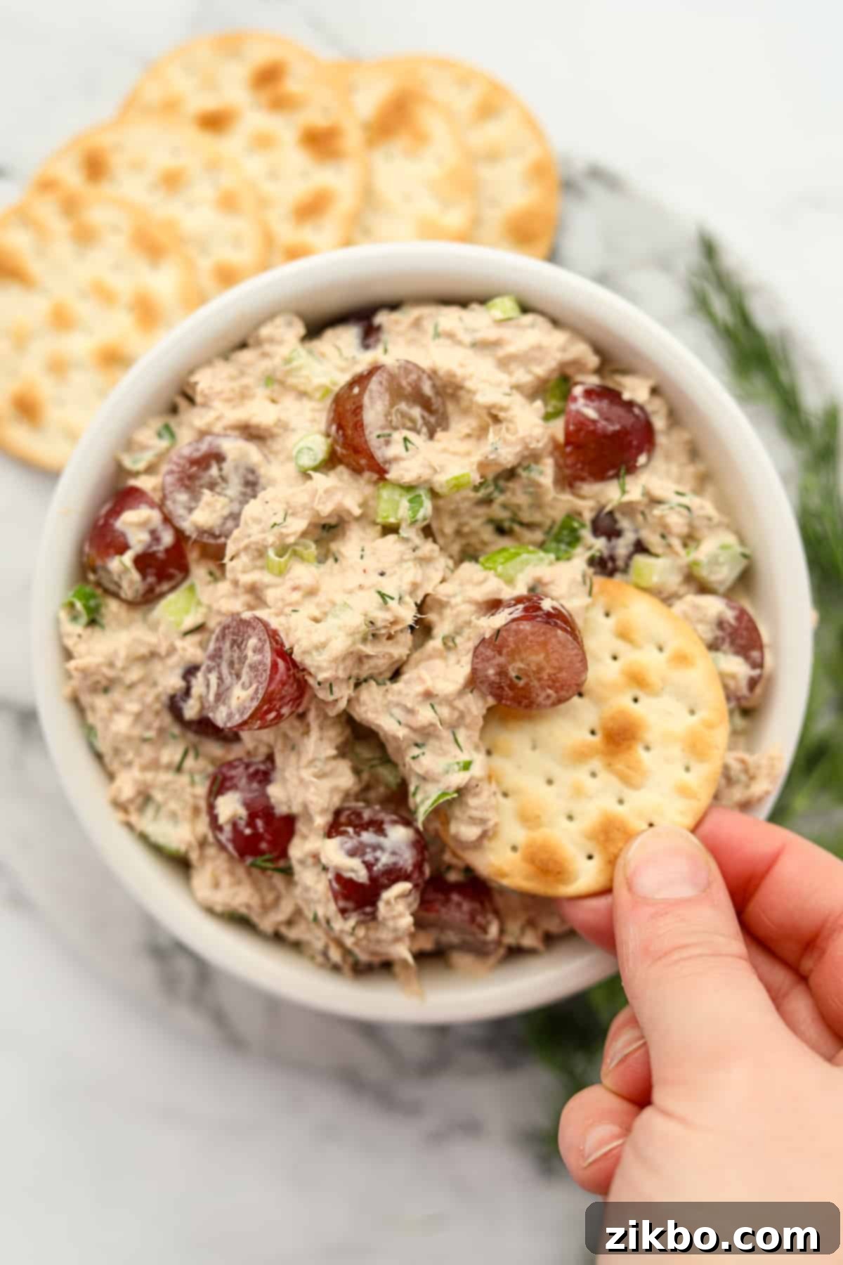 Dipping a water cracker into a bowl of creamy tuna salad with grapes.