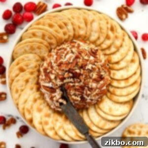 A round cheese ball in the center of a plate surrounded by crackers.