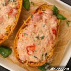 A beautifully presented Boursin Spaghetti Squash dish with creamy sauce, fresh basil, and roasted tomatoes.