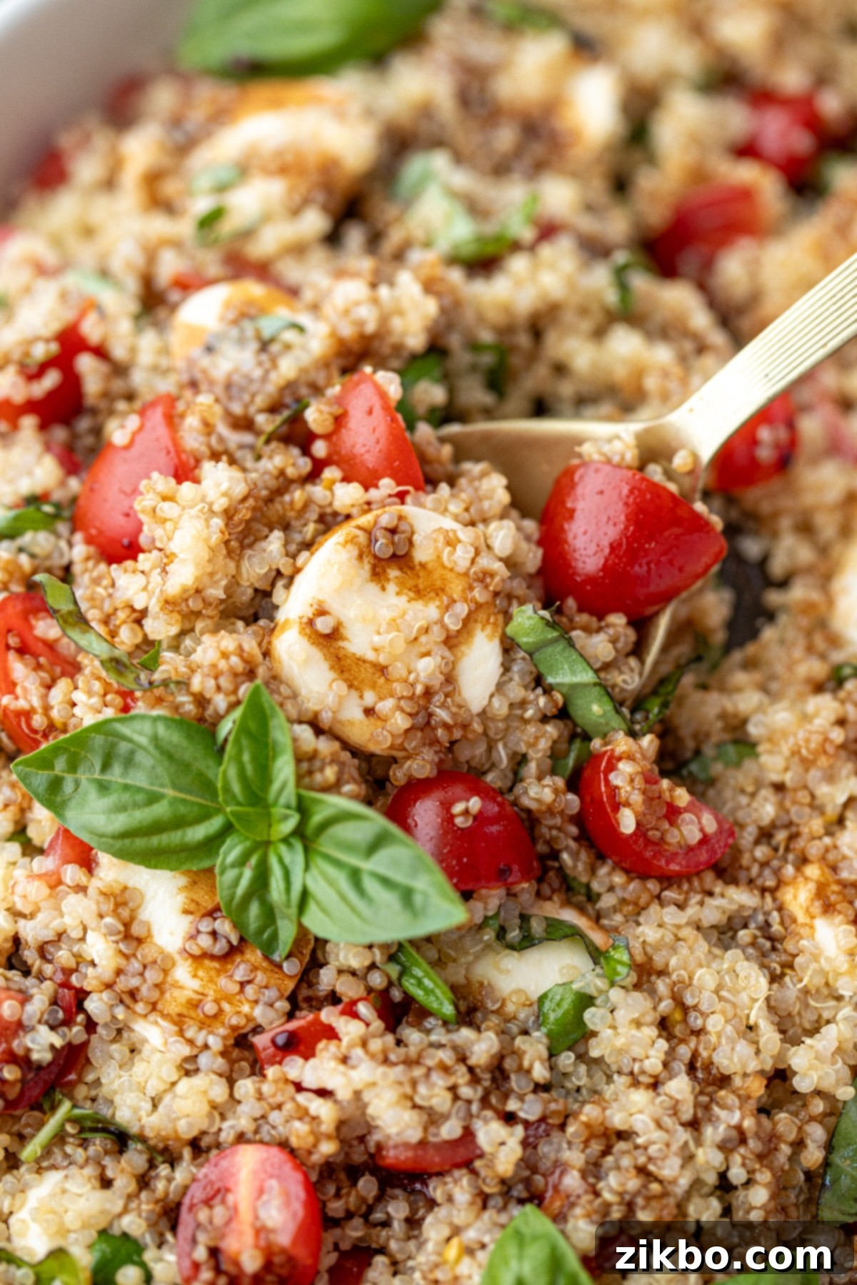 Fresh Caprese Quinoa 7 A spoonful of quinoa salad topped with fresh basil leaves.