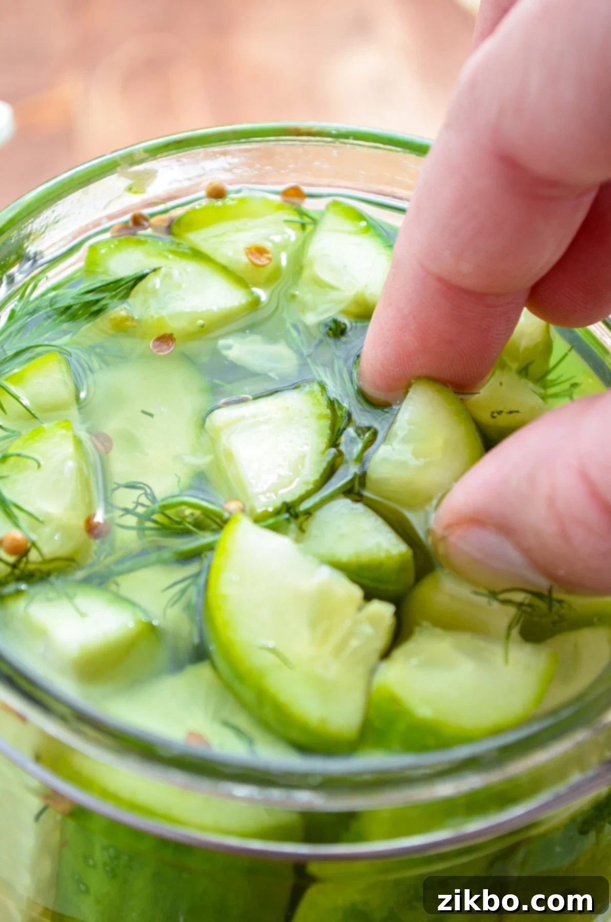 Instant Pot Fast Pickles 2 Pulling out a pickle spear from a glass jar, highlighting a perfectly preserved cucumber spear.