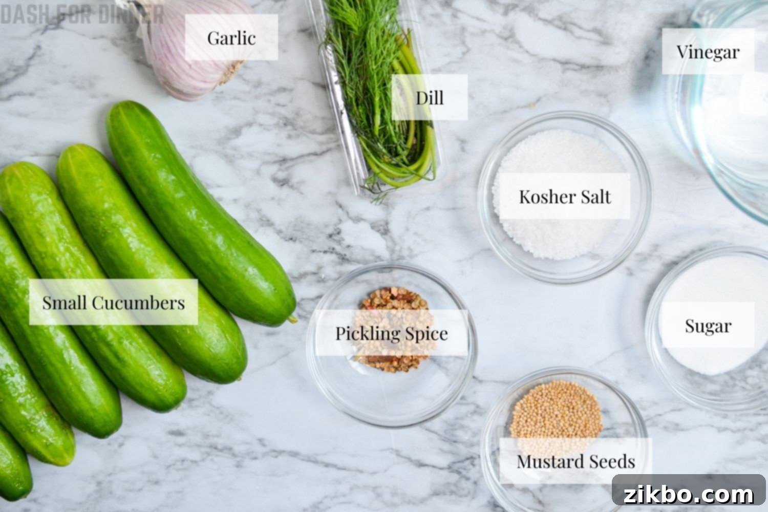 Instant Pot Fast Pickles 4 Ingredients needed to make Instant Pot Refrigerator Pickles: fresh cucumbers, dill, garlic, vinegar, salt, sugar, and spices.
