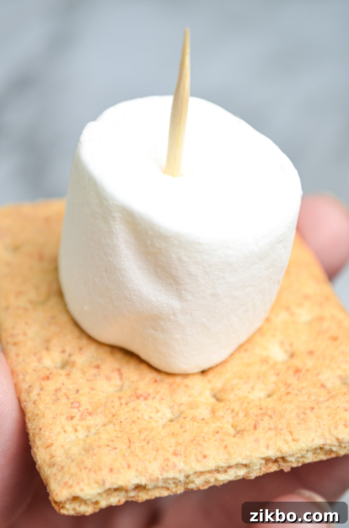 A graham cracker speared with a toothpick and a marshmallow.