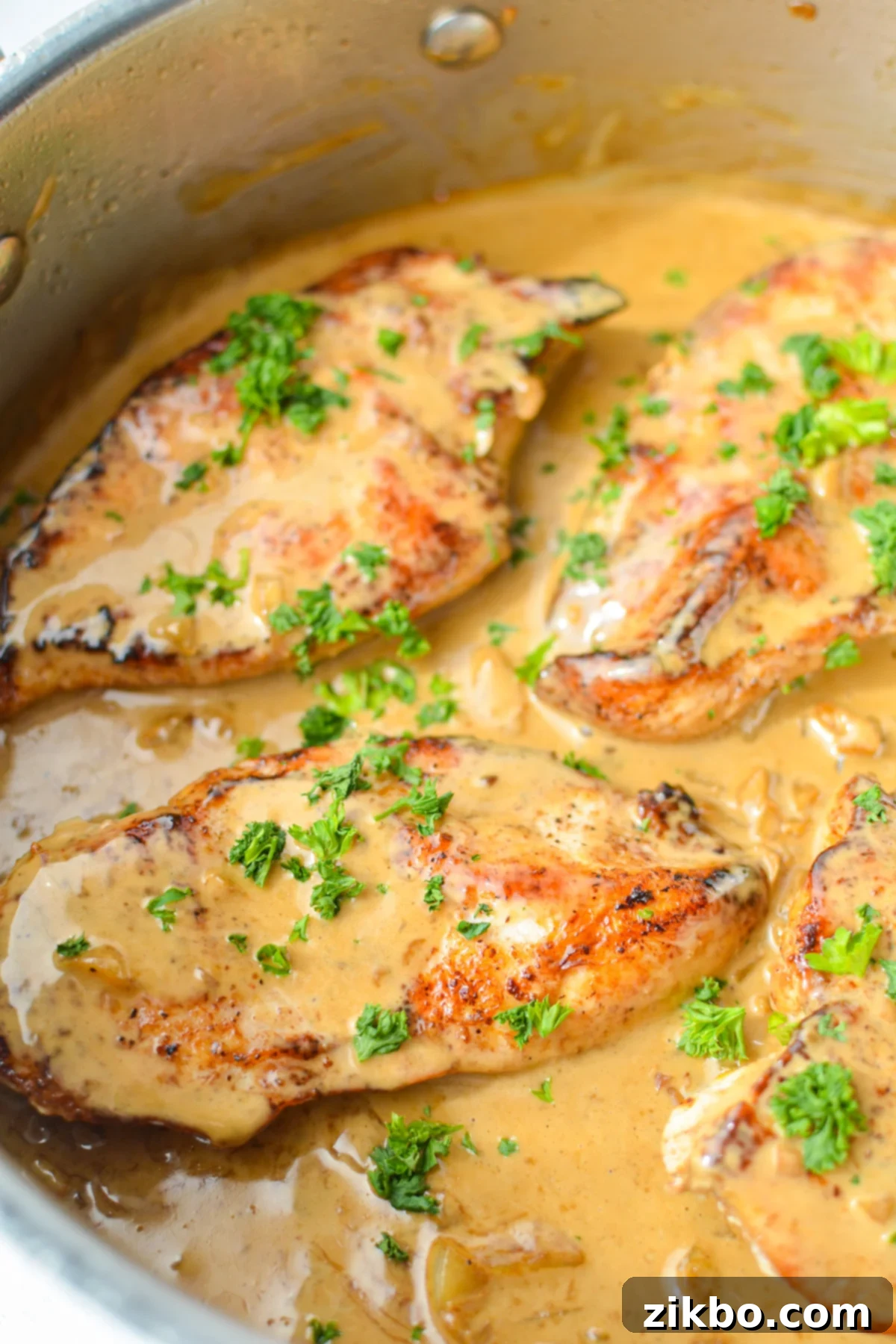 A close up of chicken breasts that have been cooked in a creamy garlic sauce. Two perfectly coated chicken breasts in a thick, glossy creamy garlic sauce, invitingly close up.