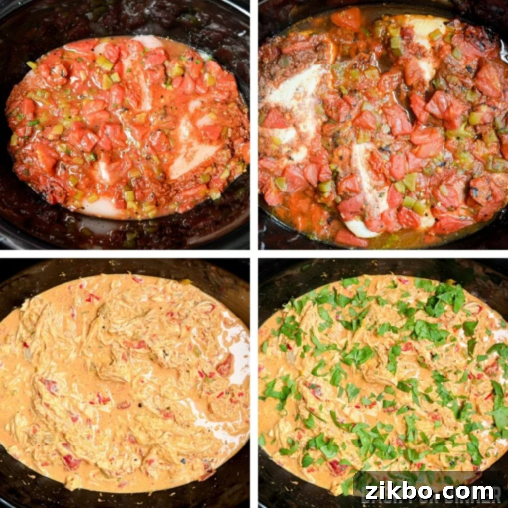 How to make queso chicken tacos in the slow cooker.
