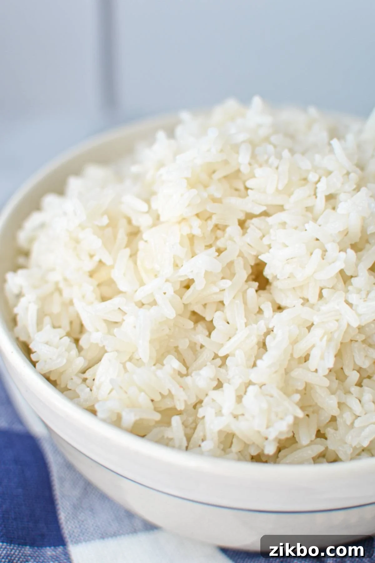 A close-up shot of a bowl filled with perfectly cooked, glistening white rice, showcasing its individual grains and fluffy texture.
