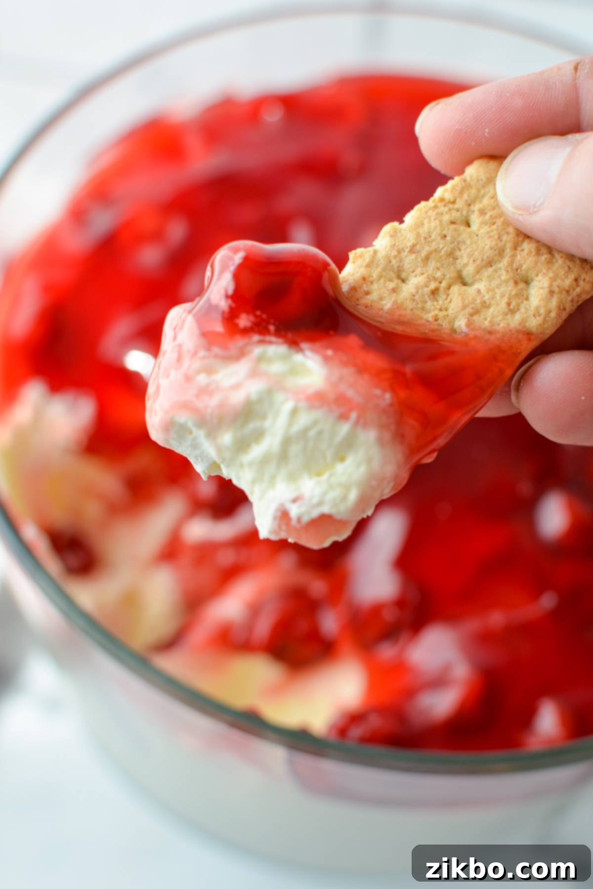 A graham cracker generously dipped into the creamy, fruity no-bake cheesecake dessert.