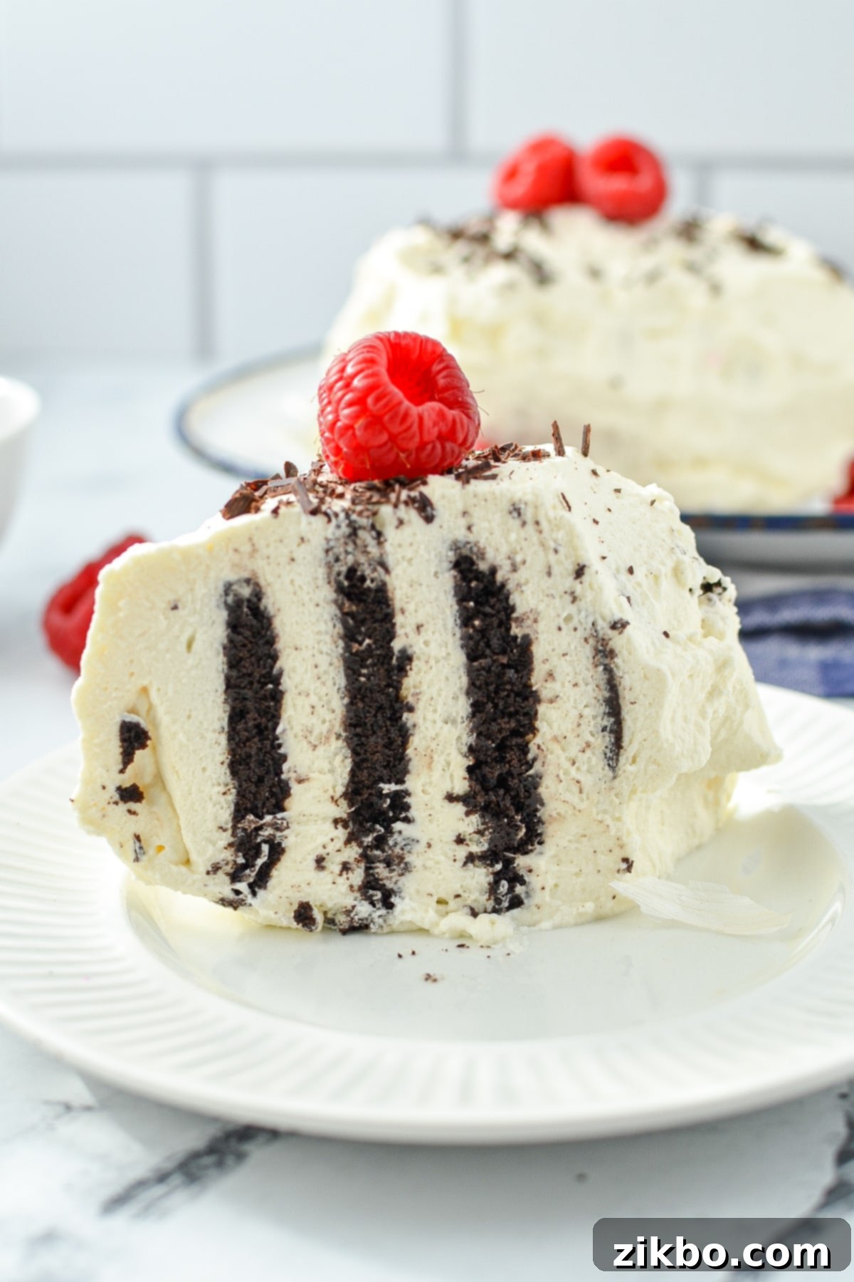 A slice of Zebra Cake garnished with a fresh raspberry on top, showing its distinct chocolate and cream layers.