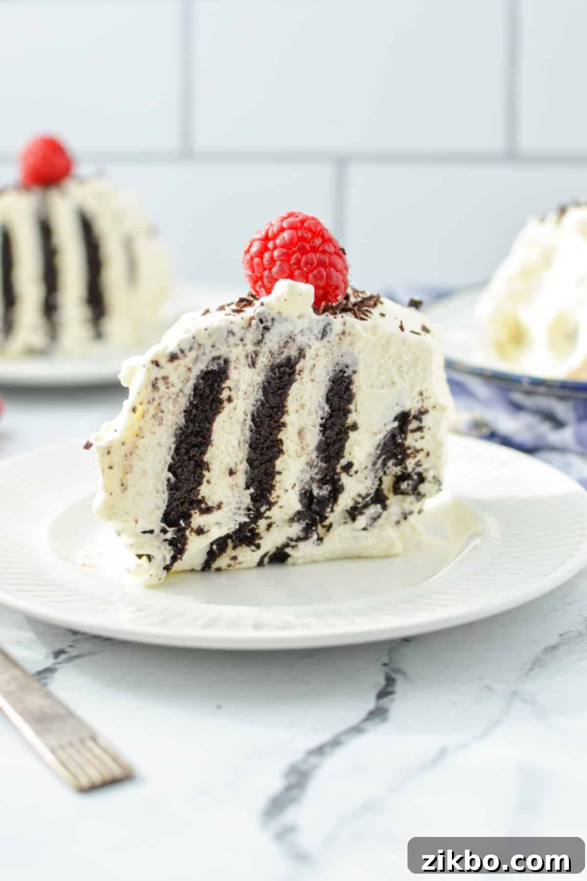 A perfect slice of Zebra Cake with its distinct diagonal stripes of chocolate and cream, topped with a fresh raspberry.