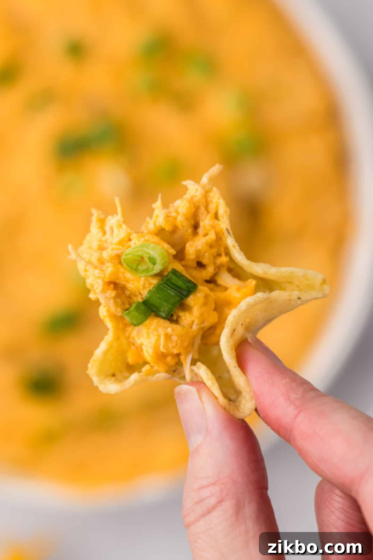 A single tortilla scoop holding a generous portion of hot, cheesy buffalo chicken dip, highlighting its creamy texture.