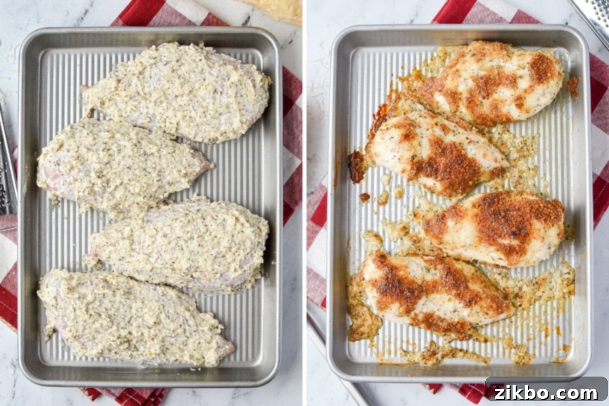 Creamy Parmesan Chicken 5 A sheet pan with four chicken breasts, each generously spread with the savory mayo-parmesan topping, ready to be baked until golden and delicious.