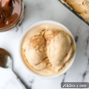 An overhead shot of a small bowl filled with homemade Dulce de Leche Ice Cream, showcasing its creamy texture and caramel swirls.