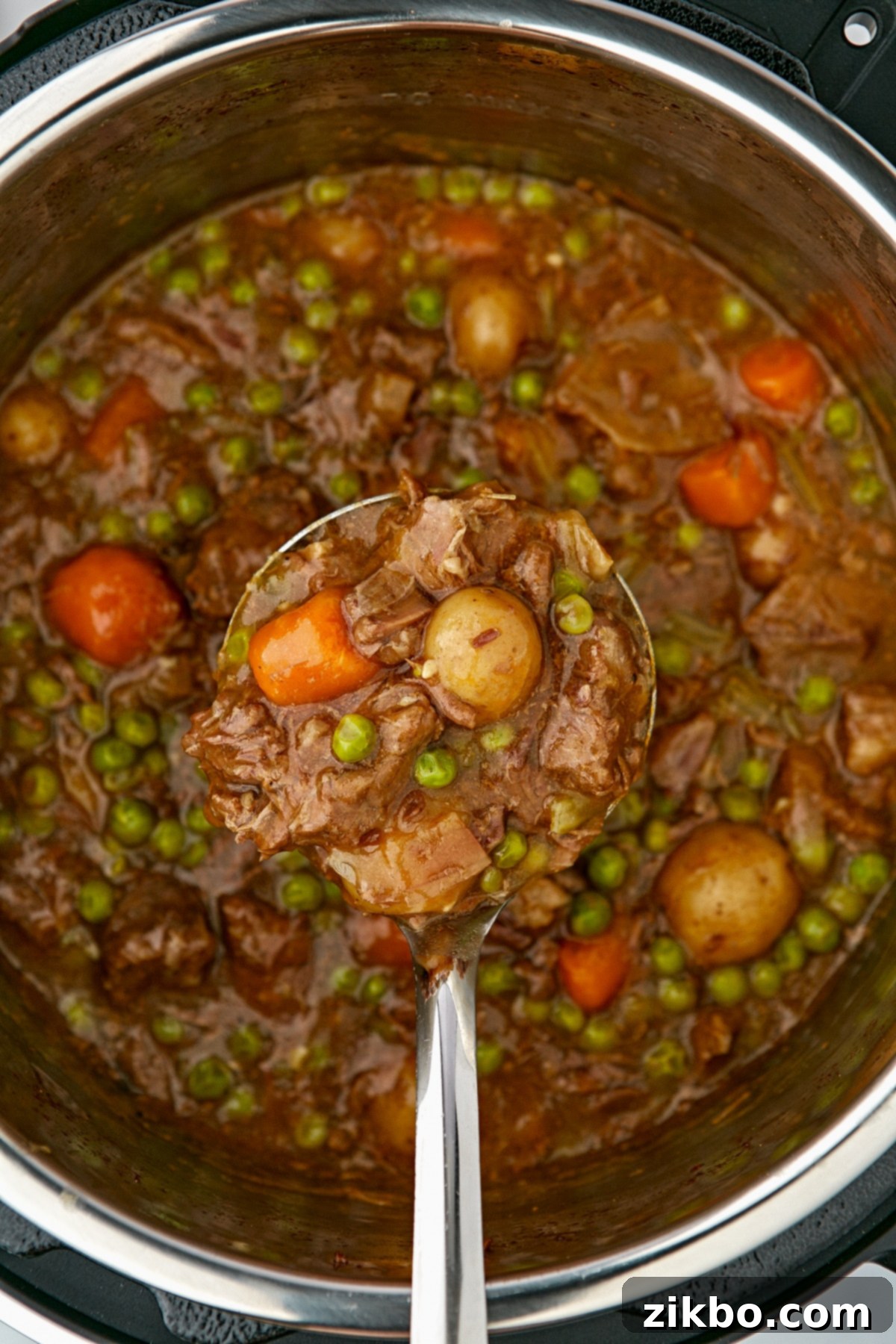 A ladle dipping into an Instant Pot filled with beef stew.