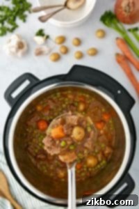 A ladle holding a portion of beef stew over an Instant Pot.