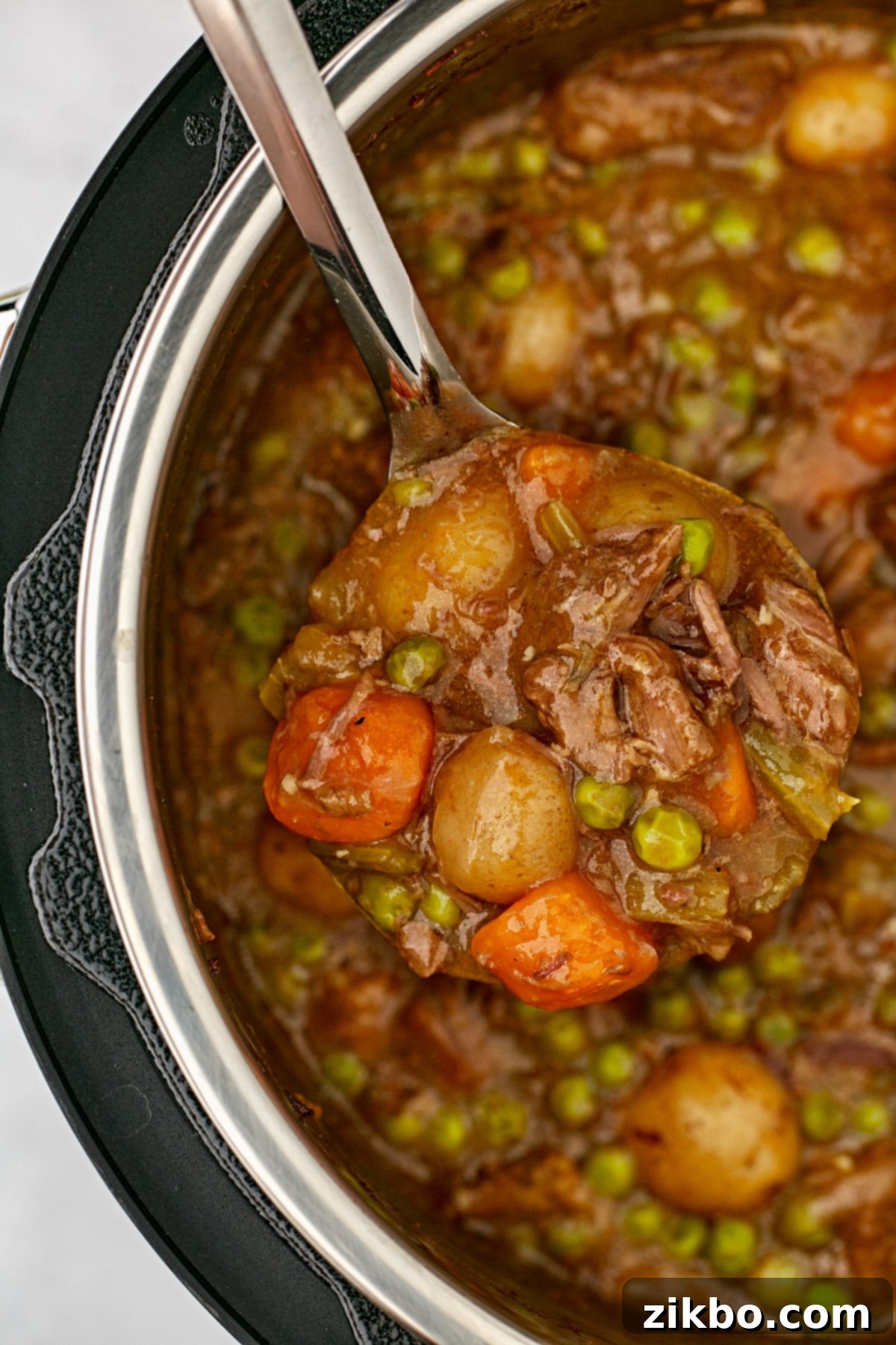 A ladle dipping into an Instant Pot filled with beef stew.
