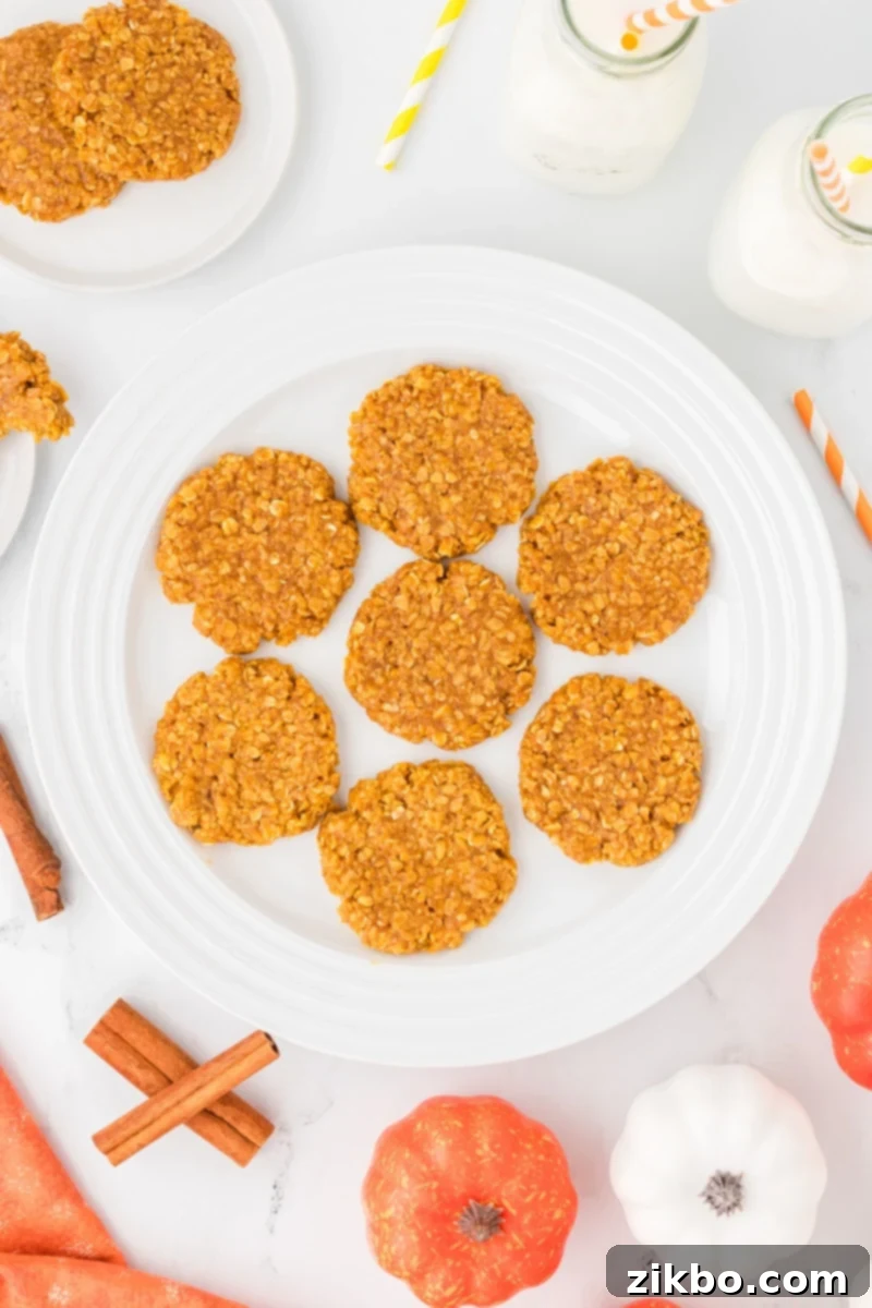 Spiced Pumpkin No-Bake Bites 12 A charming plateful of perfectly flattened pumpkin no-bake cookies, elegantly garnished with cinnamon sticks and small decorative pumpkins for a cozy fall display.