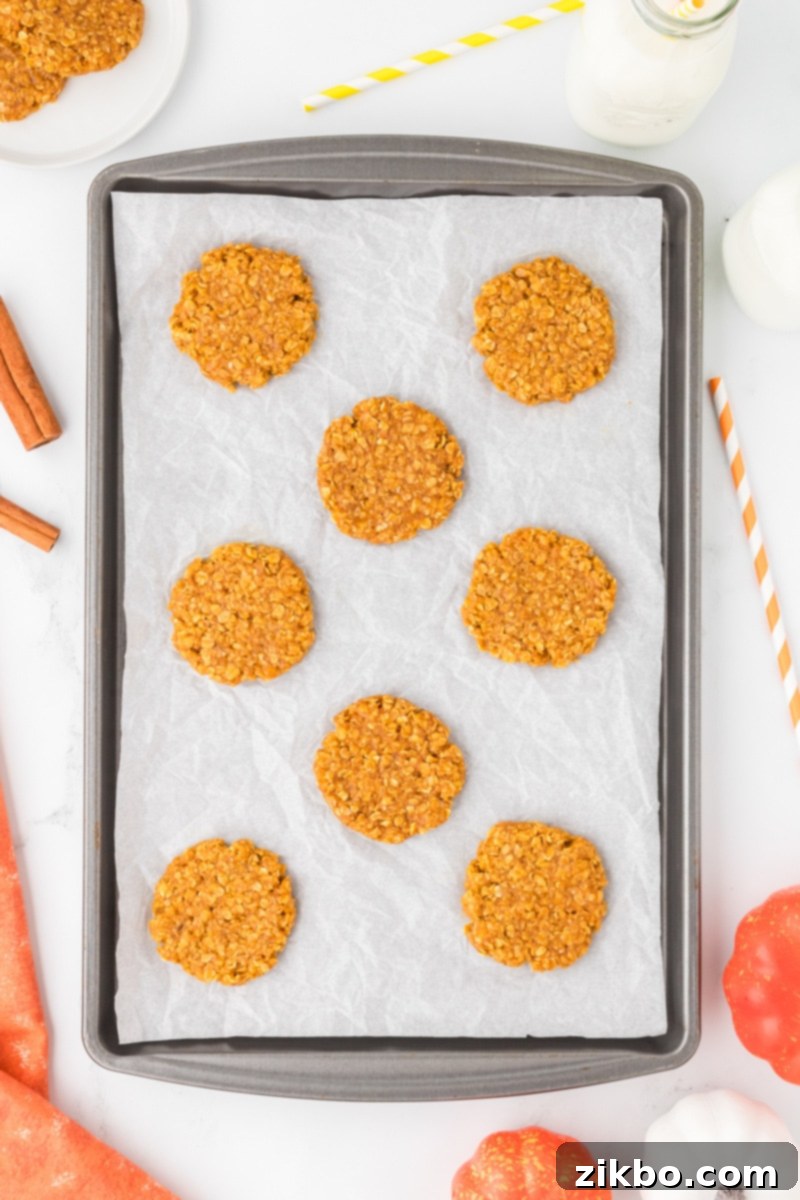Spiced Pumpkin No-Bake Bites 9 A baking sheet neatly arranged with flat, round pumpkin oatmeal cookies, ready for chilling.