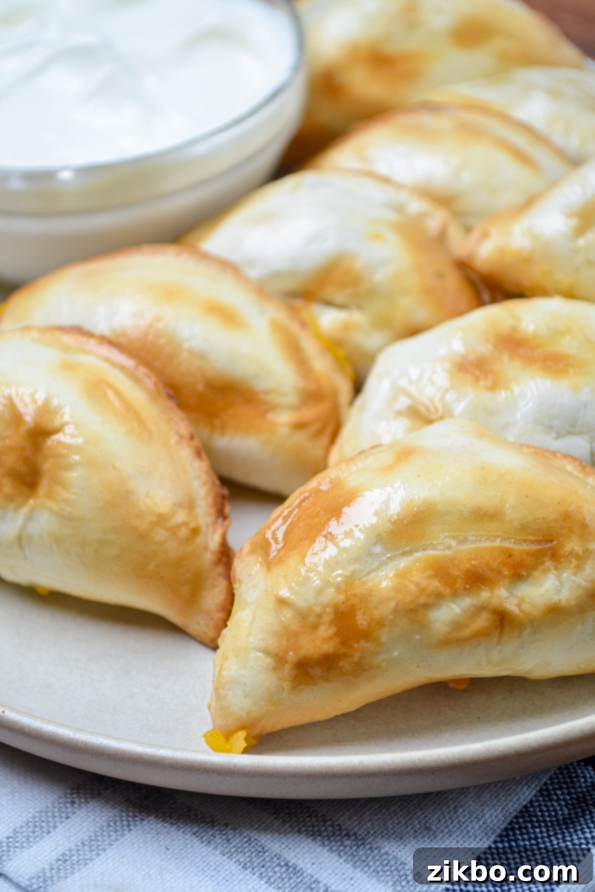 A beautifully arranged plate of crispy air fryer pierogies, with a side of creamy sour cream for dipping.