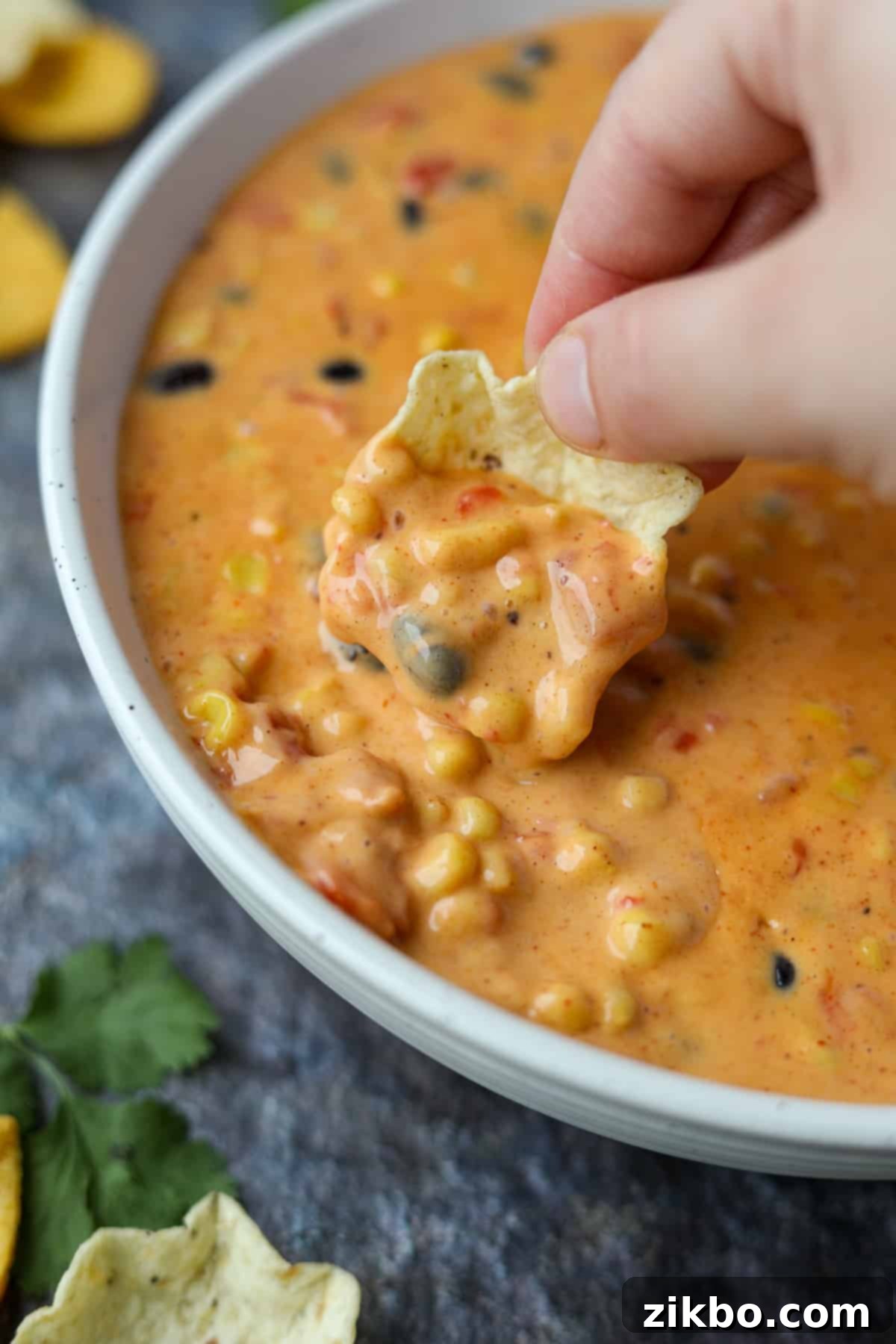 Zesty Southwest Delight 2 Dipping a tortilla chip into creamy Southwest Dip with visible black beans and corn.