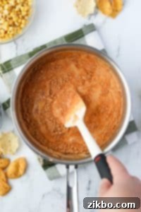 Stirring taco seasoning into Rotel dip.