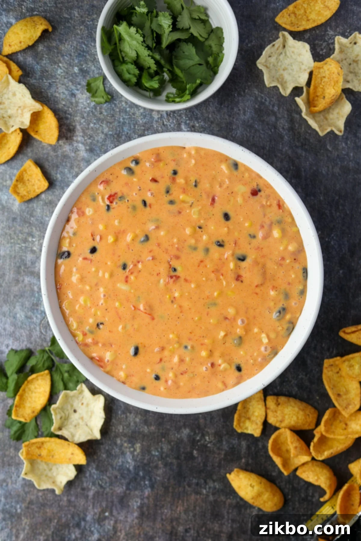 Zesty Southwest Delight 10 A beautifully presented bowl of Southwest Dip, surrounded by a variety of tortilla scoops and corn chips, ready for serving.