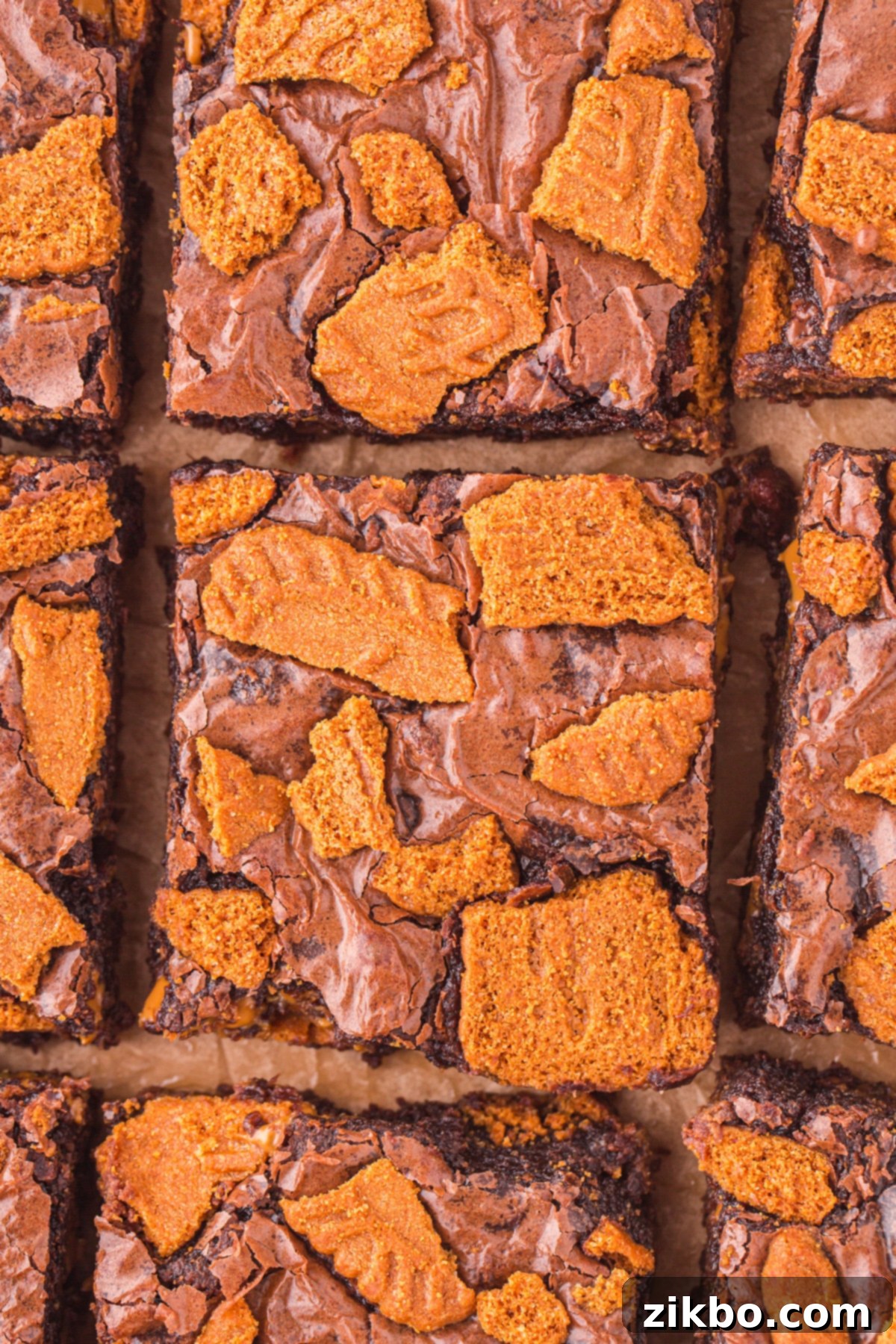 A detailed close-up of a Biscoff biscuit brownie, showcasing its fudgy interior, the creamy Biscoff cookie butter layer, and the crunchy Biscoff cookie topping.