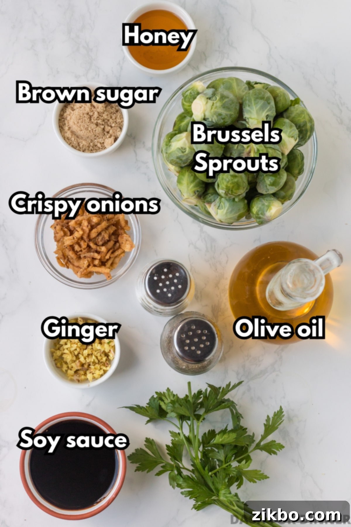 An overhead view of the ingredients needed to make Red Lobster's brussel sprouts: sprouts, soy sauce, ginger, olive oil, crispy onions, brown sugar, and honey.