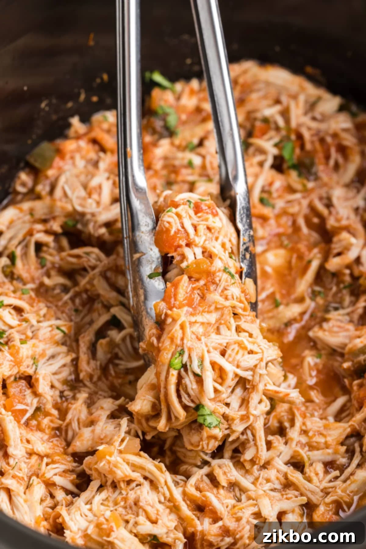 Tender Slow Cooker Salsa Chicken 12 Using a pair of tongs, a piece of perfectly cooked shredded salsa chicken is lifted from the slow cooker, showcasing its tenderness.