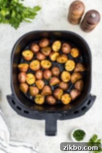 An air fryer basket with perfectly roasted and crispy baby red potatoes inside, golden and tender.