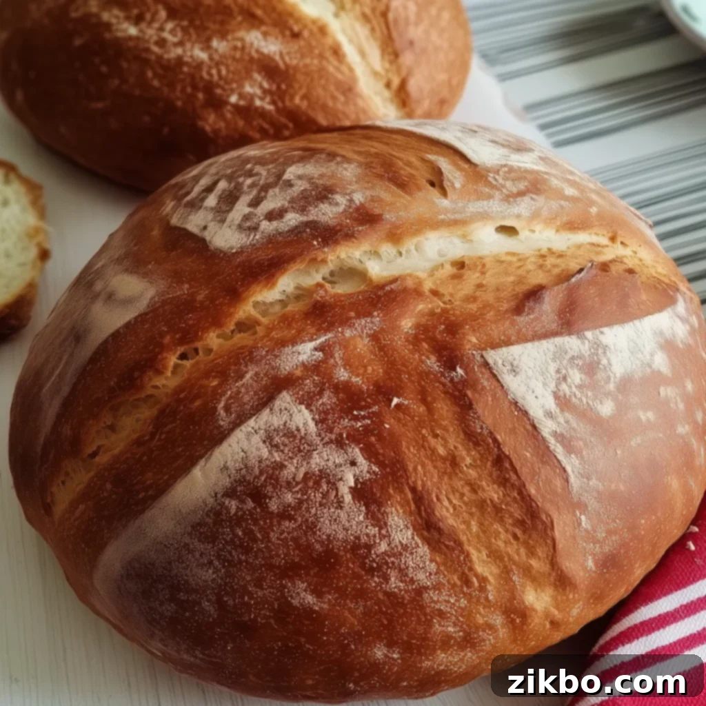 Crusty & Quick: The Easiest German Bread Ever 2 Freshly baked Quick German Bread