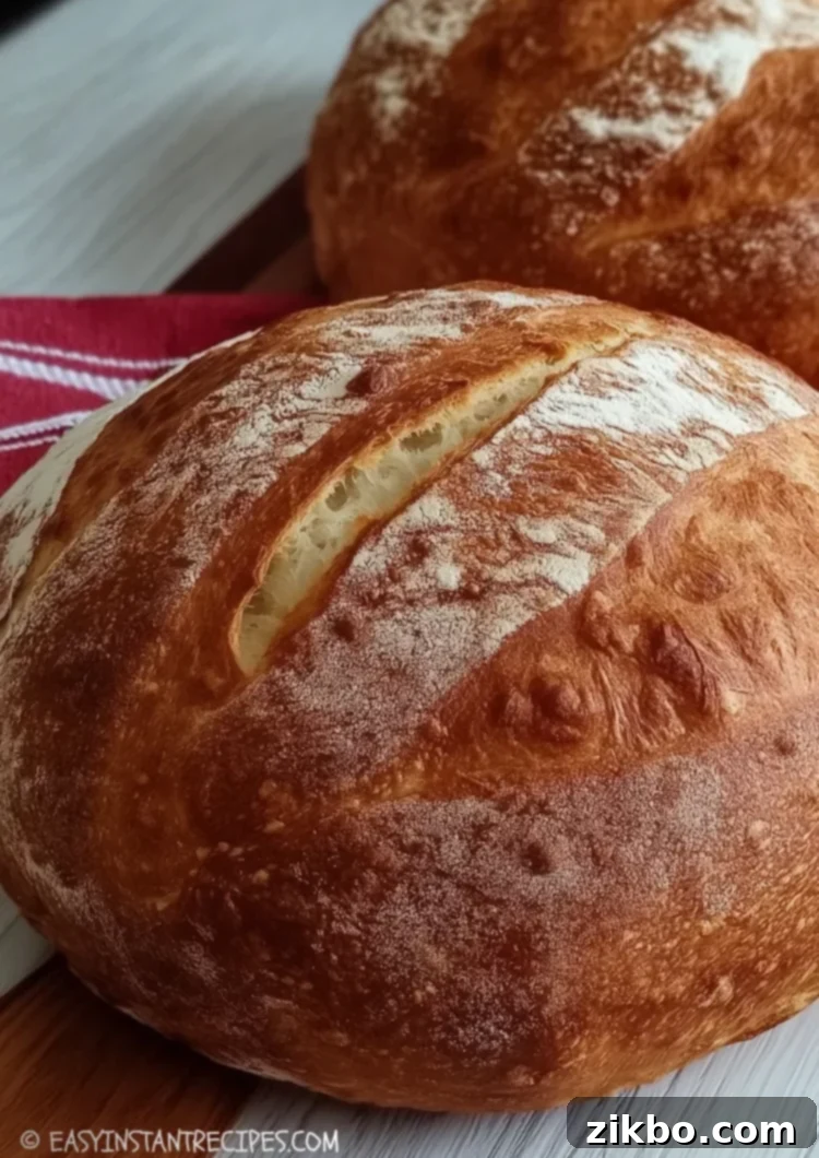 Crusty & Quick: The Easiest German Bread Ever 3 Quick German Bread Recipe (No Knead, Rustic & Easy)